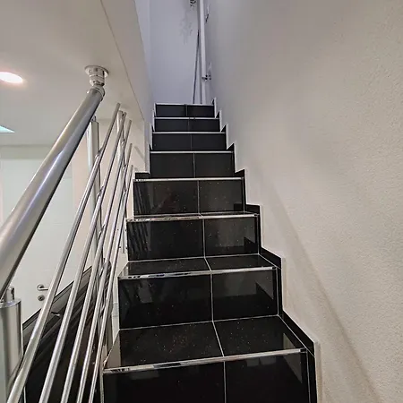 Stepa Vozdovac *